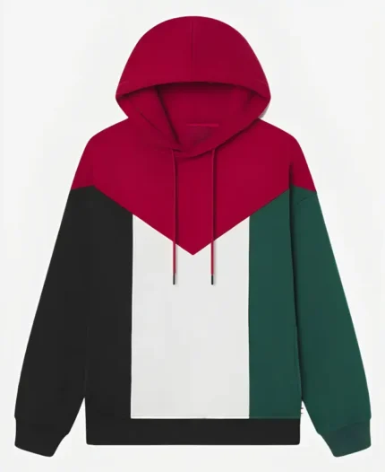 Palestine Hoodie