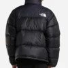 The North Face 1996 Retro Puffer jacket Back