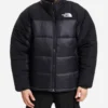 The North Face Winter Jacket